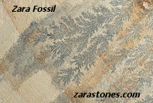 Zara Fossil Wall Coping Stones